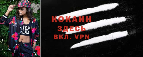 дживик Гусь-Хрустальный