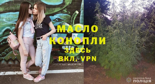 дживик Гусь-Хрустальный