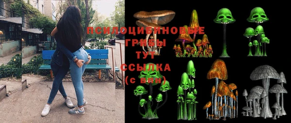 амф Гусиноозёрск