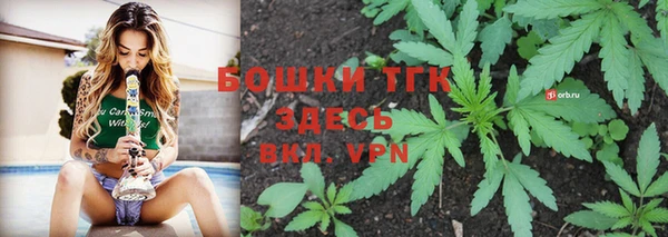 мет Гусев