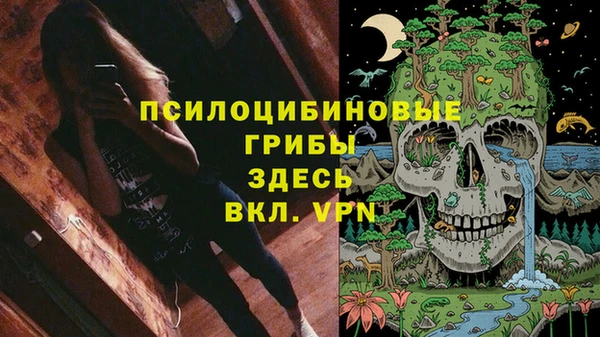 дживик Гусь-Хрустальный