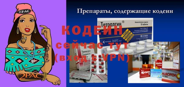 мет Гусев